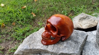 skull-14